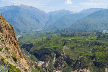 Fototapeta na wymiar Colca Canyon Peru