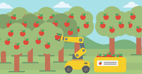 Robot picking apples at harvest time.