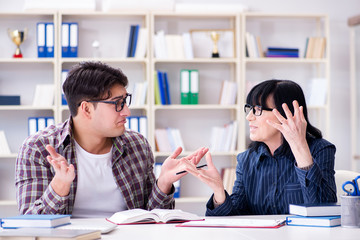 Young student during individual tutoring lesson