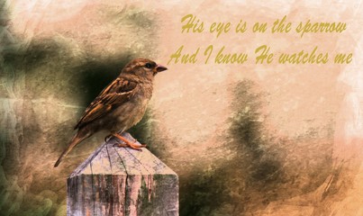 His Eye is on the sparrow
