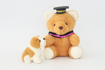 A brown bear wearing a graduation cap and a brownish white dog doll on a white background.