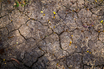 cracked soil dry earth texture,background