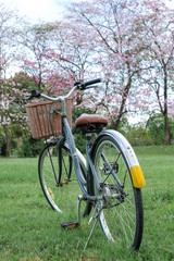 Fototapeta premium Old vintage steel bicycle in beautiful park