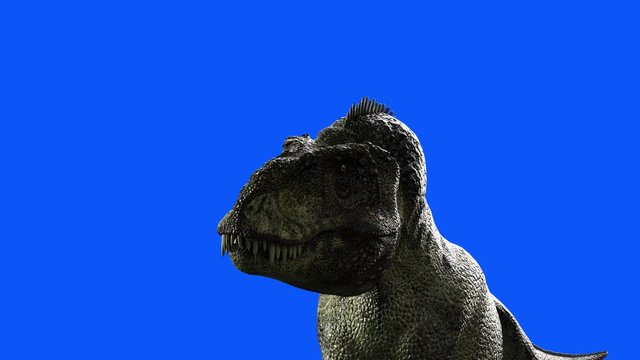 close up head of Tyrannosaurus Rex