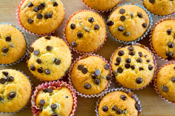 Brown cupcakes with pieces of chocolate.