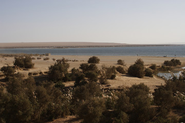 Qarun Lake
