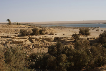 Rayan Valley Protoctorate