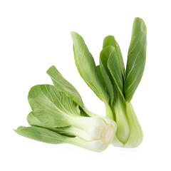 Pok Choy isolated on white background.