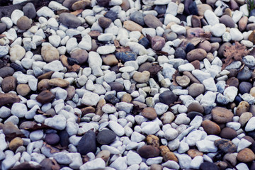 Background with pebble multicolored stones.