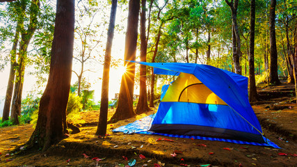 Camping tent on top of mountain in the morning - obrazy, fototapety, plakaty