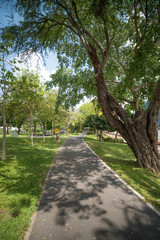 Obraz premium Public park background on a summer day