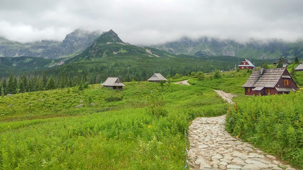 A rocky path in the mountains among small wooden houses. Zakopane, Tatry, Poland.