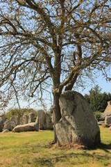 Site mégalithique Erdeven