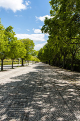 Obraz premium 石畳の歩道