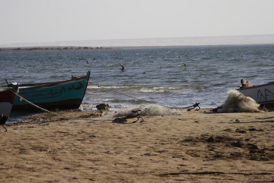 Rayan Valley Protoctorate