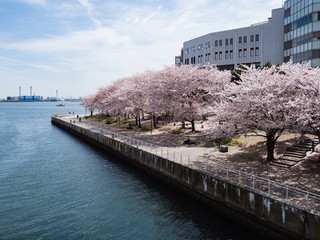 神奈川県 横浜市 みなとみらい