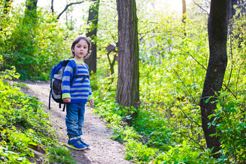 Naklejka na ściany i meble A child walks through the woods.