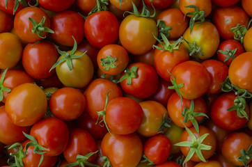 photo of very fresh tomatoes presented on background