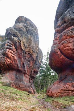 Kelchstein in Oybin