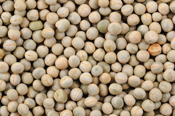 dried pea background