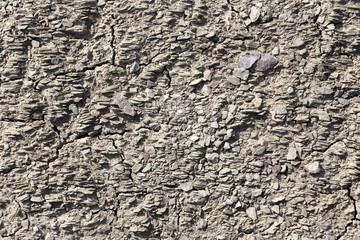 dried soil closeup texture. Background of dried up soil close-up, top view