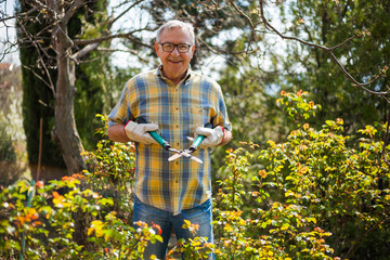 Senior man in his garden. He is going to trim the plants.