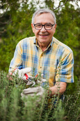 Fototapeta premium Senior man in his garden. He is pruning plants.