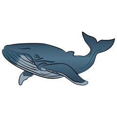 Vector blue whale isolated on white background