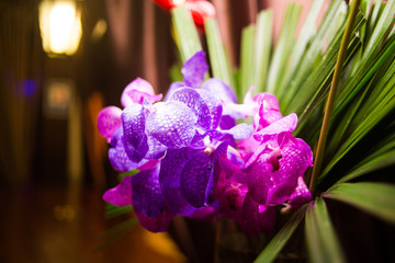 bouquet with fresh orchidea