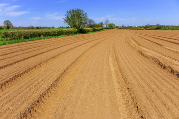 Fototapeta na wymiar red sandstone soil farm warwickshire midlands england uk
