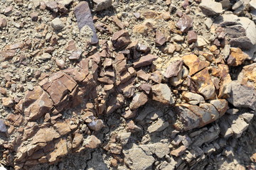 Texture of dried up soil close-up view from above