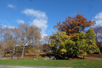 Autumn in Central Park, New York, USA