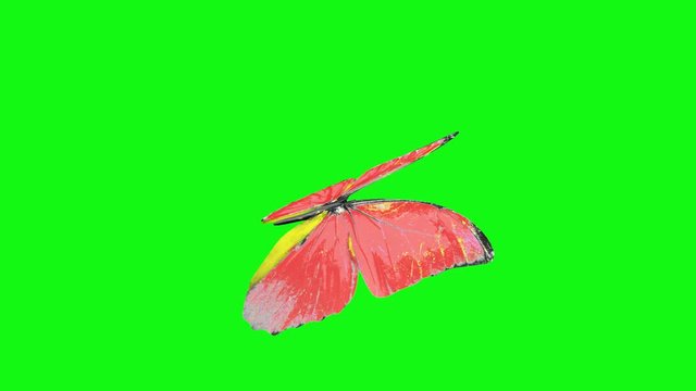 A looped animation of a fluttering butterfly with red wings on a green background