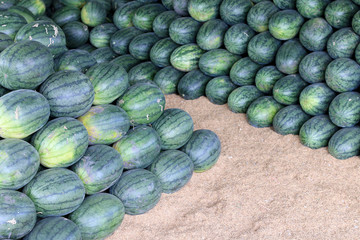 Fototapeta na wymiar Many big sweet green watermelons in the fruit market.