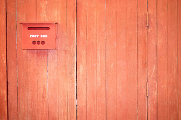 Branch tree leaf dry with space background