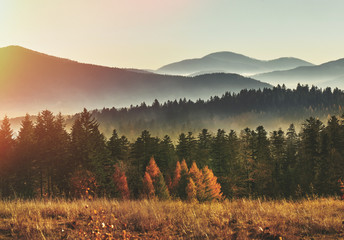 Amazing mountain landscape with fog. Beskid Mountains. Poland. Mountains scenery