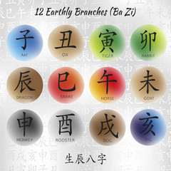 Set of symbols from chinese hieroglyphs. Translation of 12 zodiac animals branch, feng shui signs hieroglyph: Rat, Ox, Tiger, Rabbit, Dragon, Snake, Horse, Goat, Monkey, Rooster, Dog, Pig