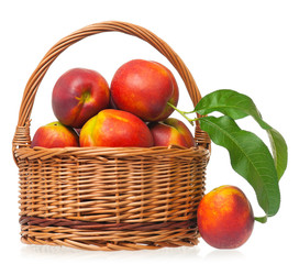 Fresh ripe nectarines