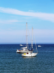 Obraz premium sailing boats