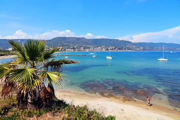 Lavandou - French Riviera - palm tree - beach - sailing boats