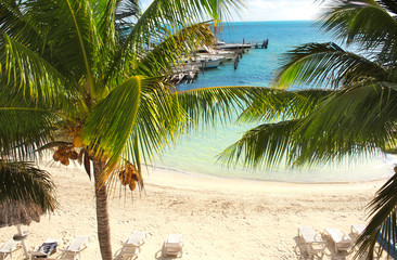 Palm trees, sea waves and beach, Cancun, Mexico