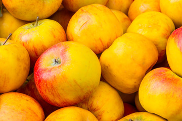 Apple Buch Yellow Red Market Selling Crate Closeup Macro