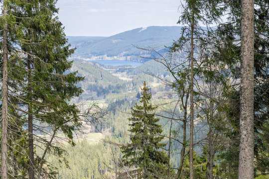 Ausblick im Schwarzwald