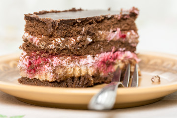 Fruit cake with chocolate served on the plate with fork on it