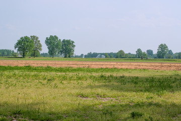 terreni agricoli