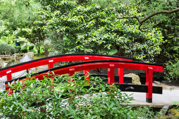 Red Bridge in Green Garden