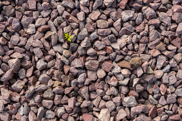 rote Schottersteine Hintergrund 