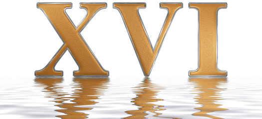 Roman numeral XVI, sedecim, 16, sixteen, reflected on the water surface, isolated on  white, 3d render