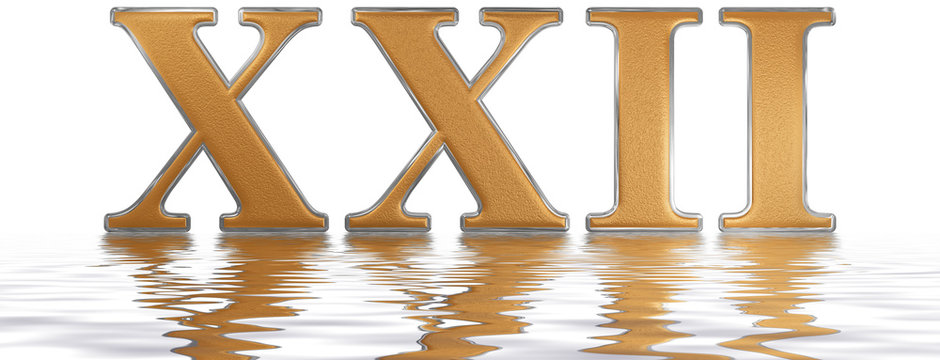 Roman numeral XXII, duo et viginti, 22, twenty two, reflected on the water surface, isolated on  white, 3d render
