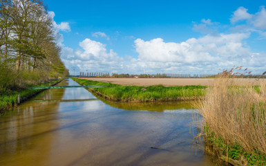 Canal through the countryside in spring 
